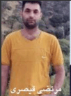 مرتضی قیصری