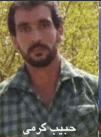 حبیب کرمی