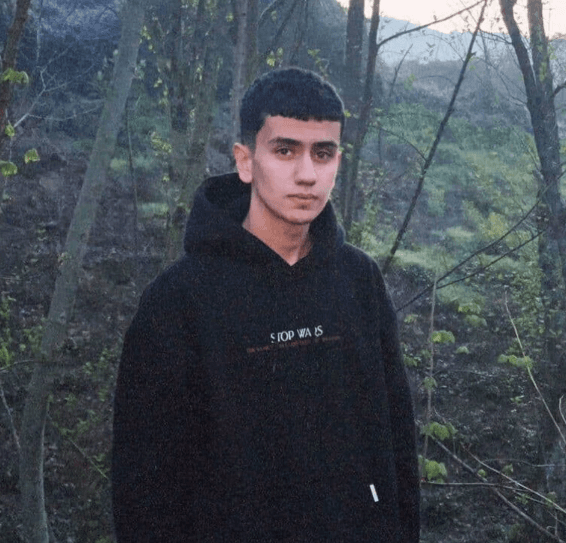 محمد پارسا امینی