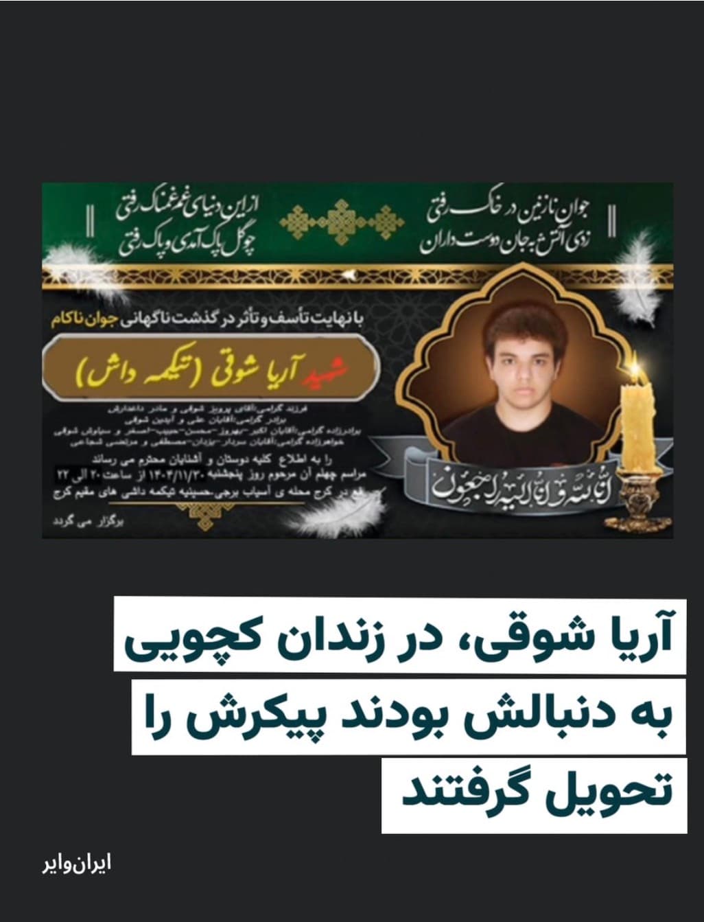 آریا شوقی